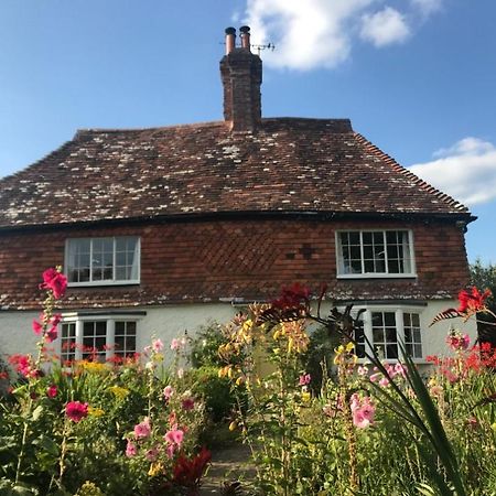 The Studio Wisborough Green 外观 照片